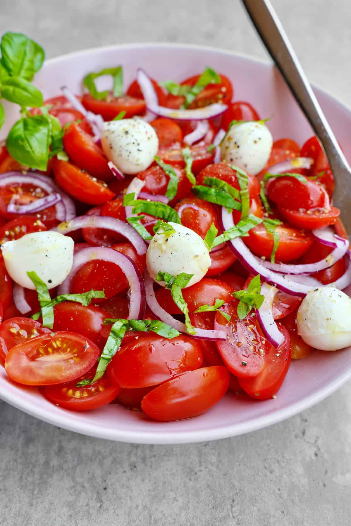 Eine Nahaufnahme einer Schale mit Tomate-Mozzarella-Salat.