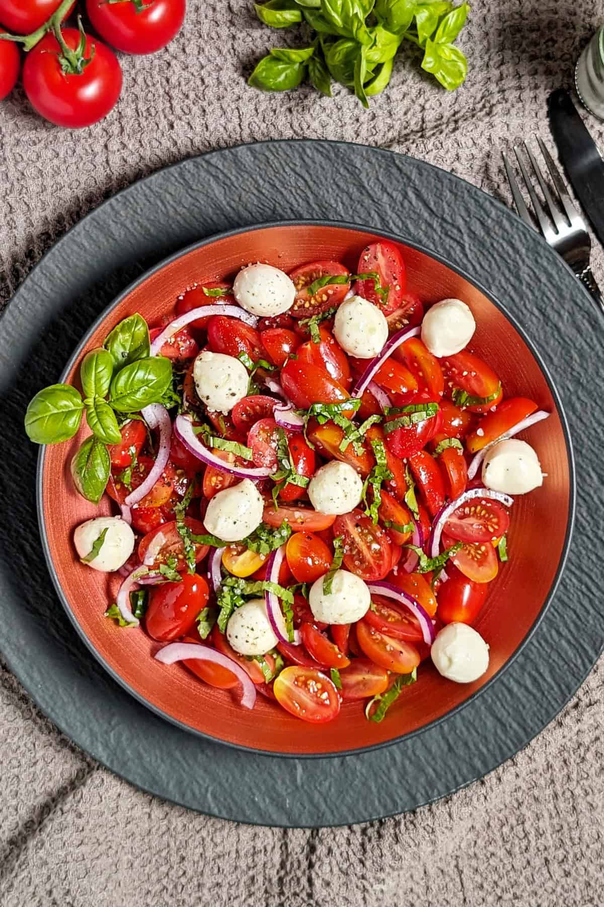 Ein Teller mit Tomate-Mozzarella-Salat.